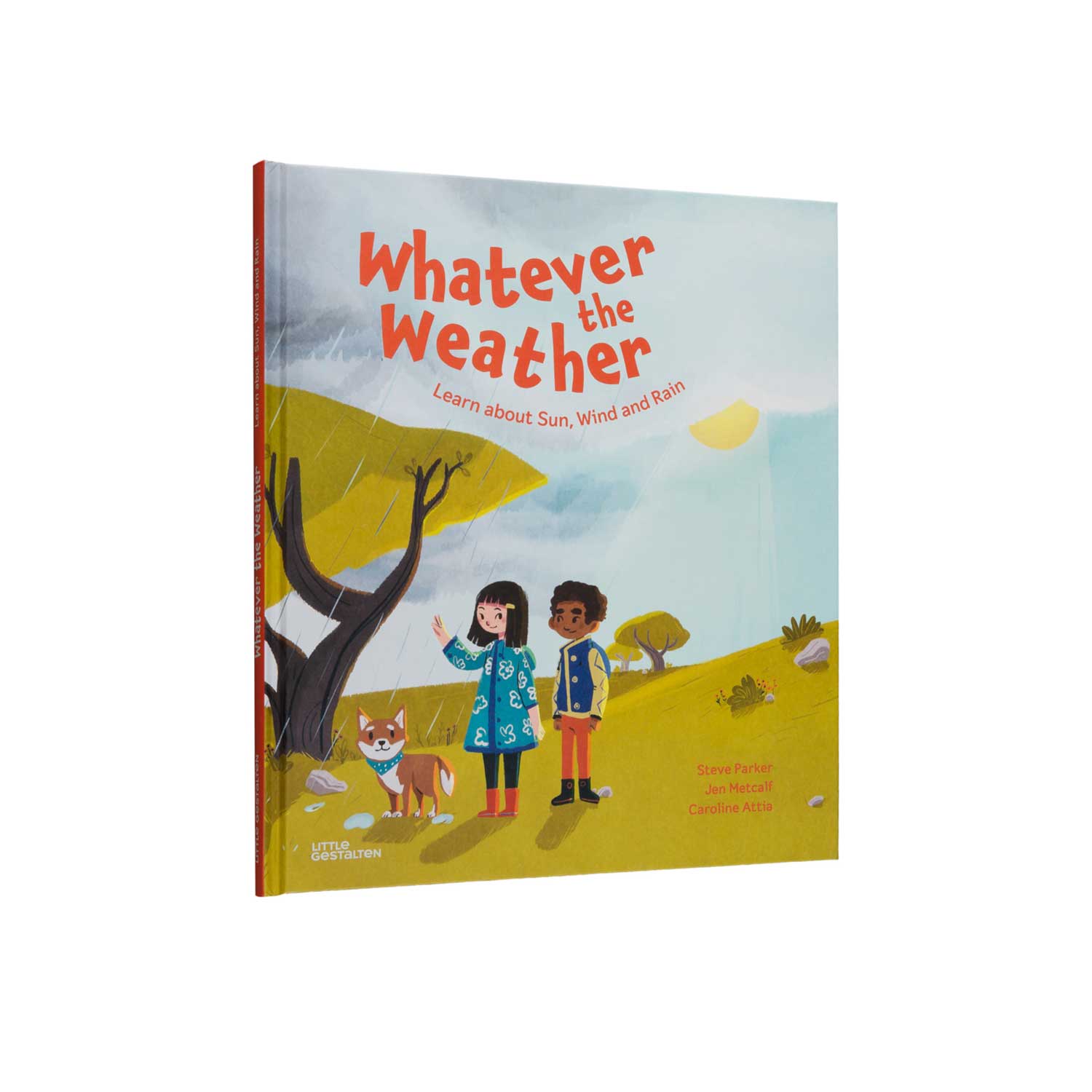 Whatever the weather Buch